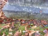 image of grave number 761588